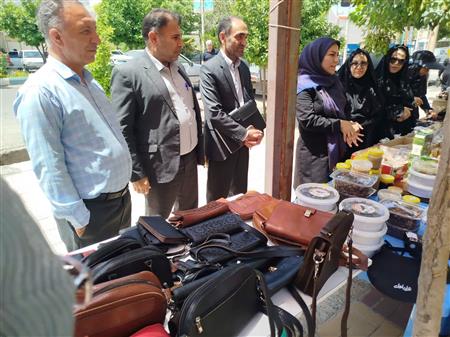 گزارش تصویری از بازدید مدیركل دفتر توسعه فعالیتهای كشاورزی زنان روستایی از طرح‌های نوآورانه در ایلام