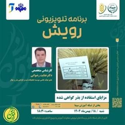 مزایای استفاده از بذر گواهی شده