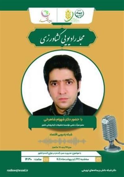 مدیریت سن گندم در مزارع گندم كشور